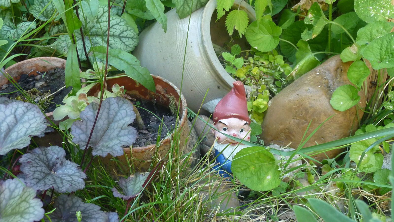 Pots