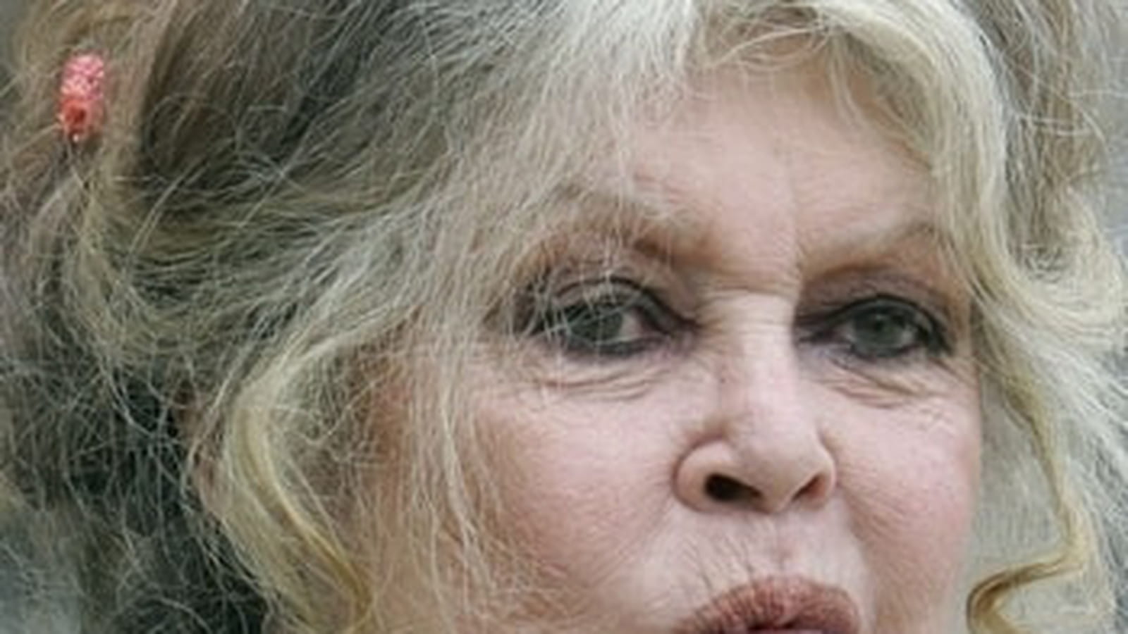 Brigitte Bardot