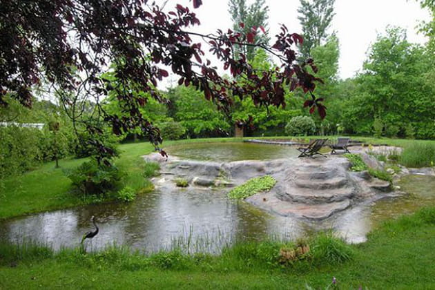 Le choix de la nature