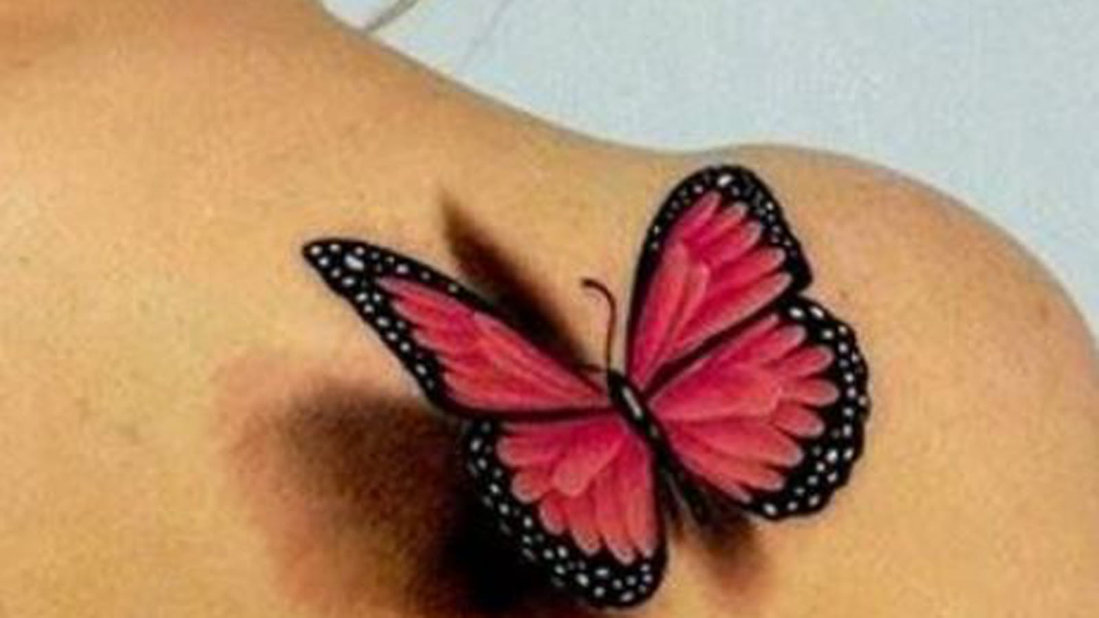 Papillon 3D sur l'omoplate