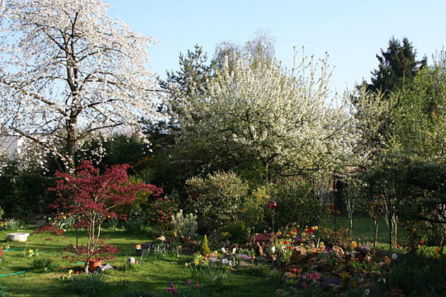 Comme de la neige au printemps