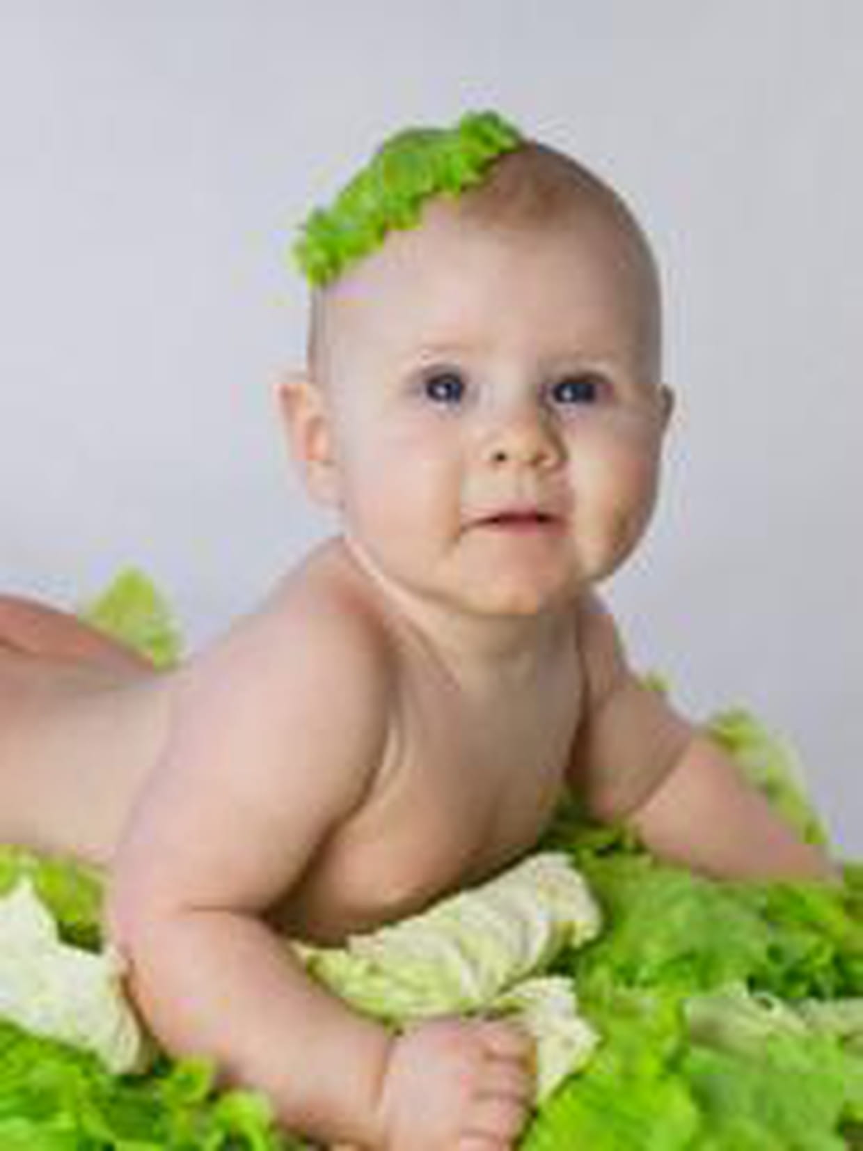 Un Bebe Dans Un Chou