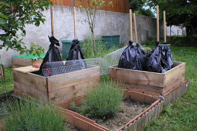 Pour prot&eacute;ger les tomates