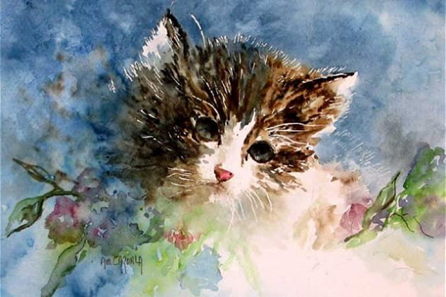 Un chaton trop mignon