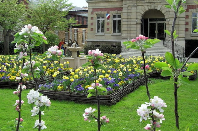 Enclos de branchages