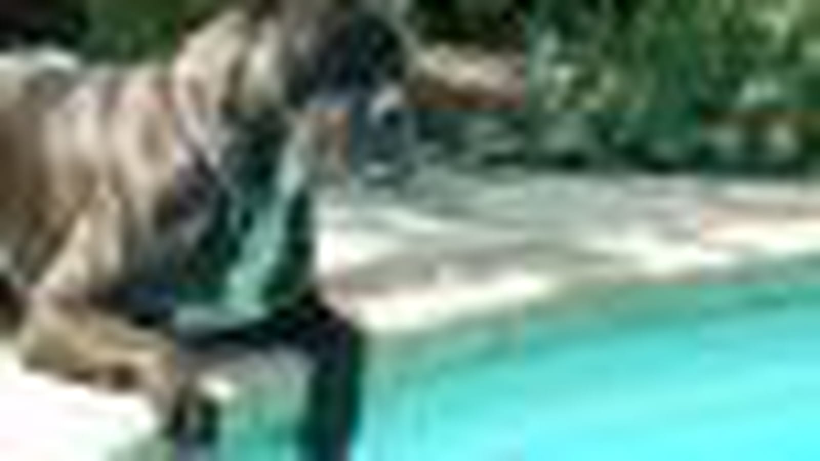 Ughy au bord de la piscine