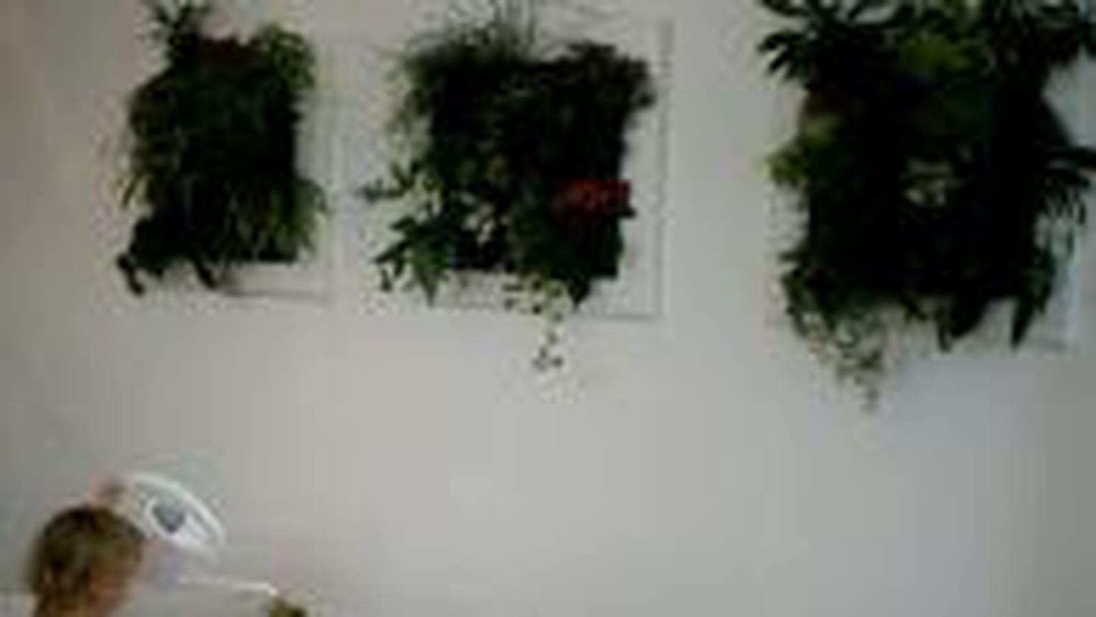 Tableaux végétaux