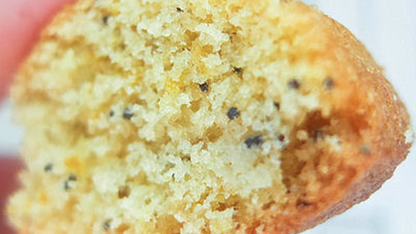 Madeleines citron pavot