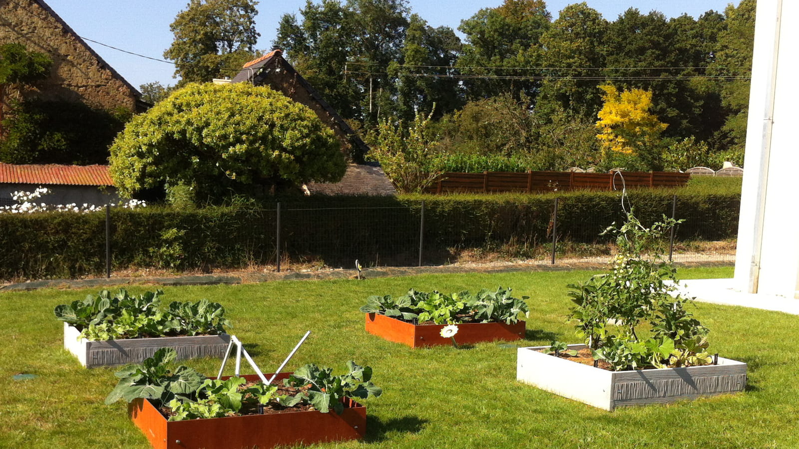   Potager au carré