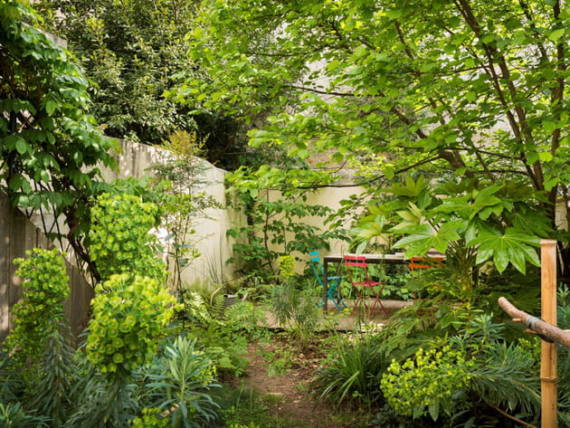 Une v&eacute;g&eacute;tation luxuriante