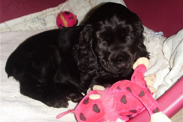 Quelle farceuse&nbsp;!