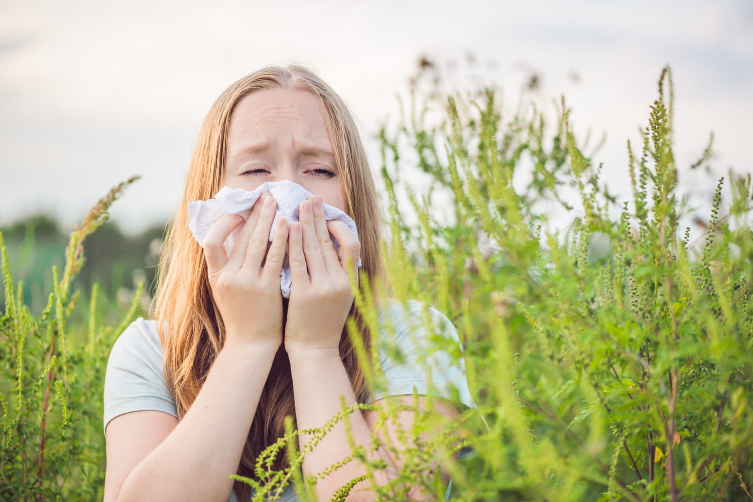 Allergie aux graminées symptômes, période, que faire — free download