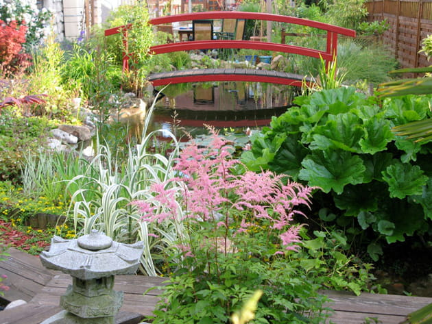 Jardin aquatique japonisant