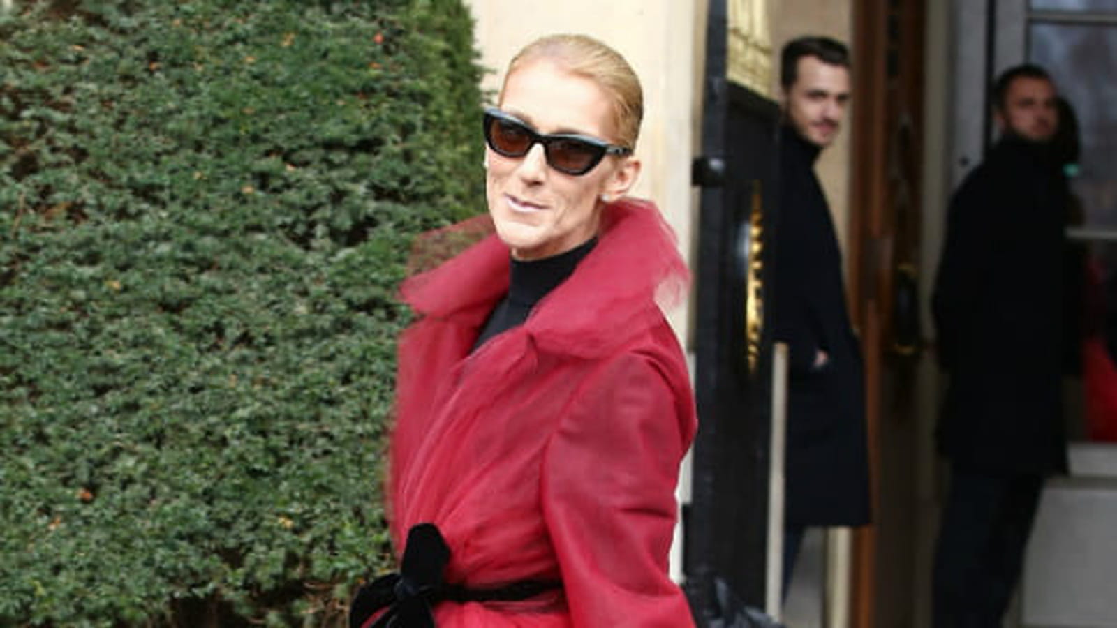 Céline Dion le 27 janvier 2019