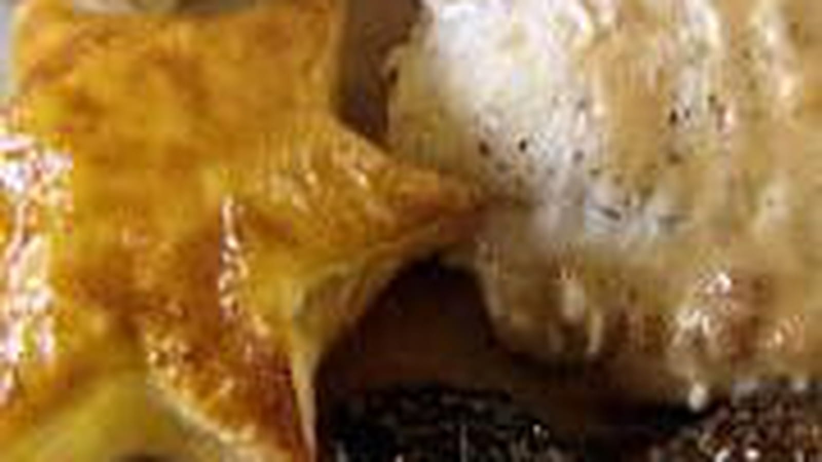 Filets de sole à la crème de morilles