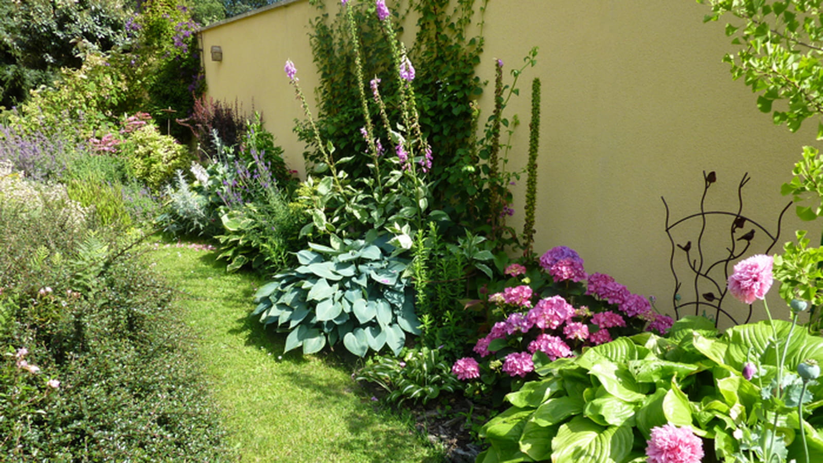 Plantes grimpantes