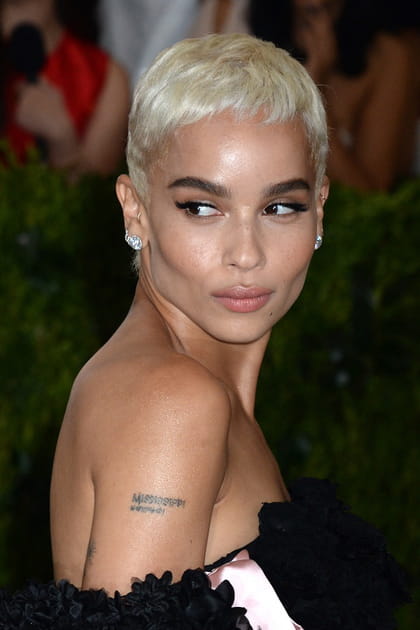 Stars et coloration&nbsp;: Zo&euml; Kravitz en blonde