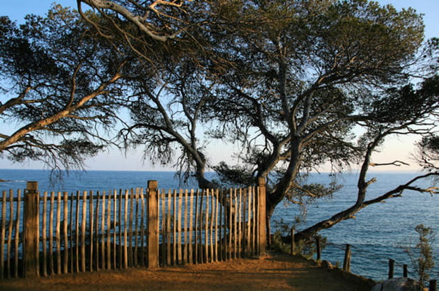 En haut des falaises