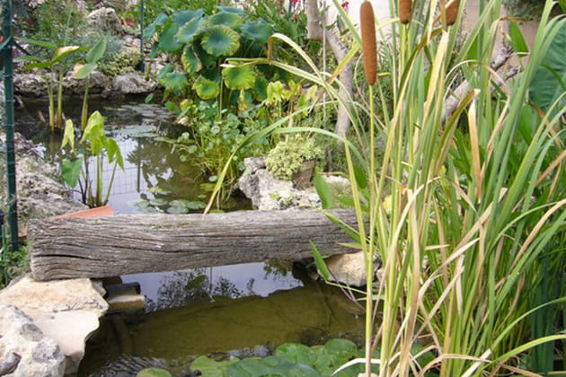 Façon Robinson Crusoé