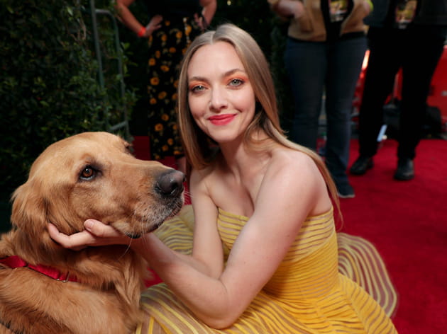 Cauet montre son corps, Karine Ferri et son bébé... [PHOTOS]