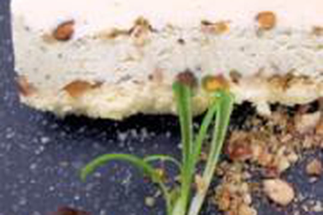 Terrine de fromages aux fruits secs