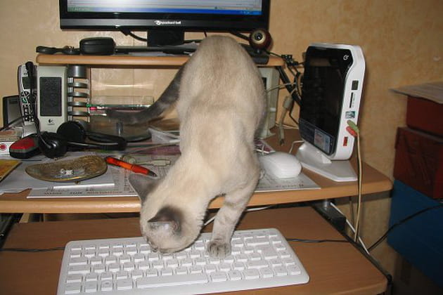 Einstein, un vrai g&eacute;nie&nbsp;!