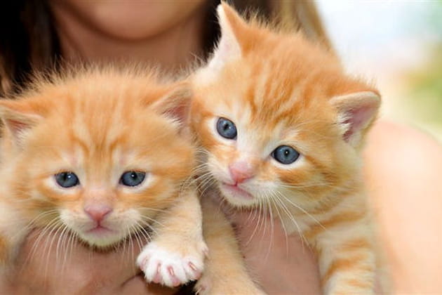 Comme deux gouttes d'eau