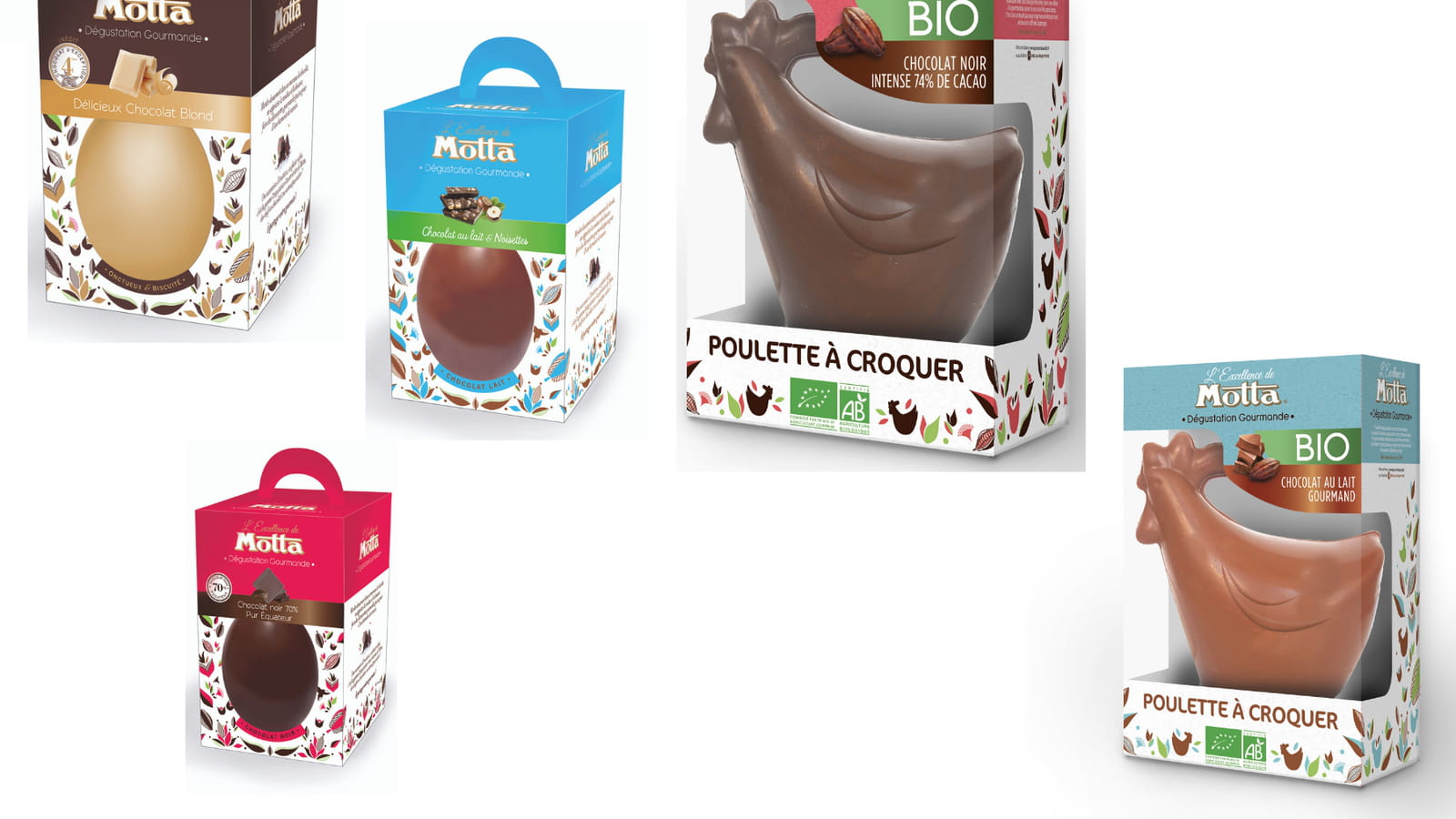 Les œufs et les poulettes bio Motta