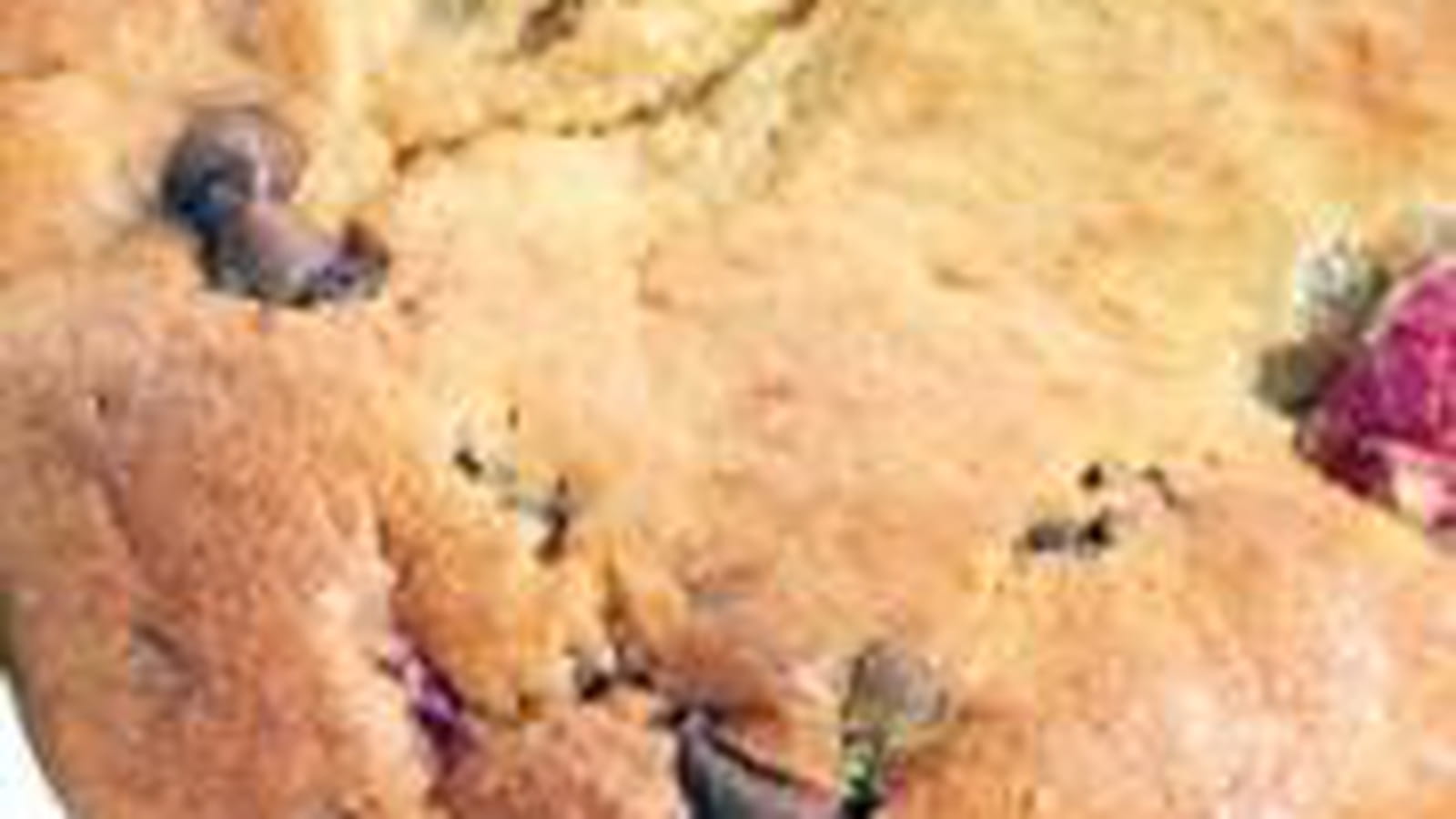 Banana bread aux framboises et chocolat