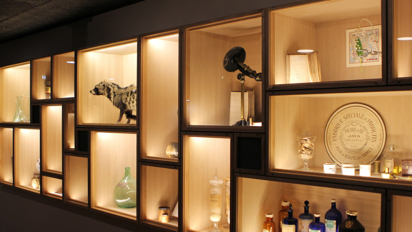 Cabinet de curiosité