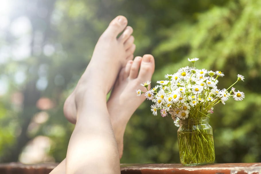 3 plantes pour alléger les jambes lourdes