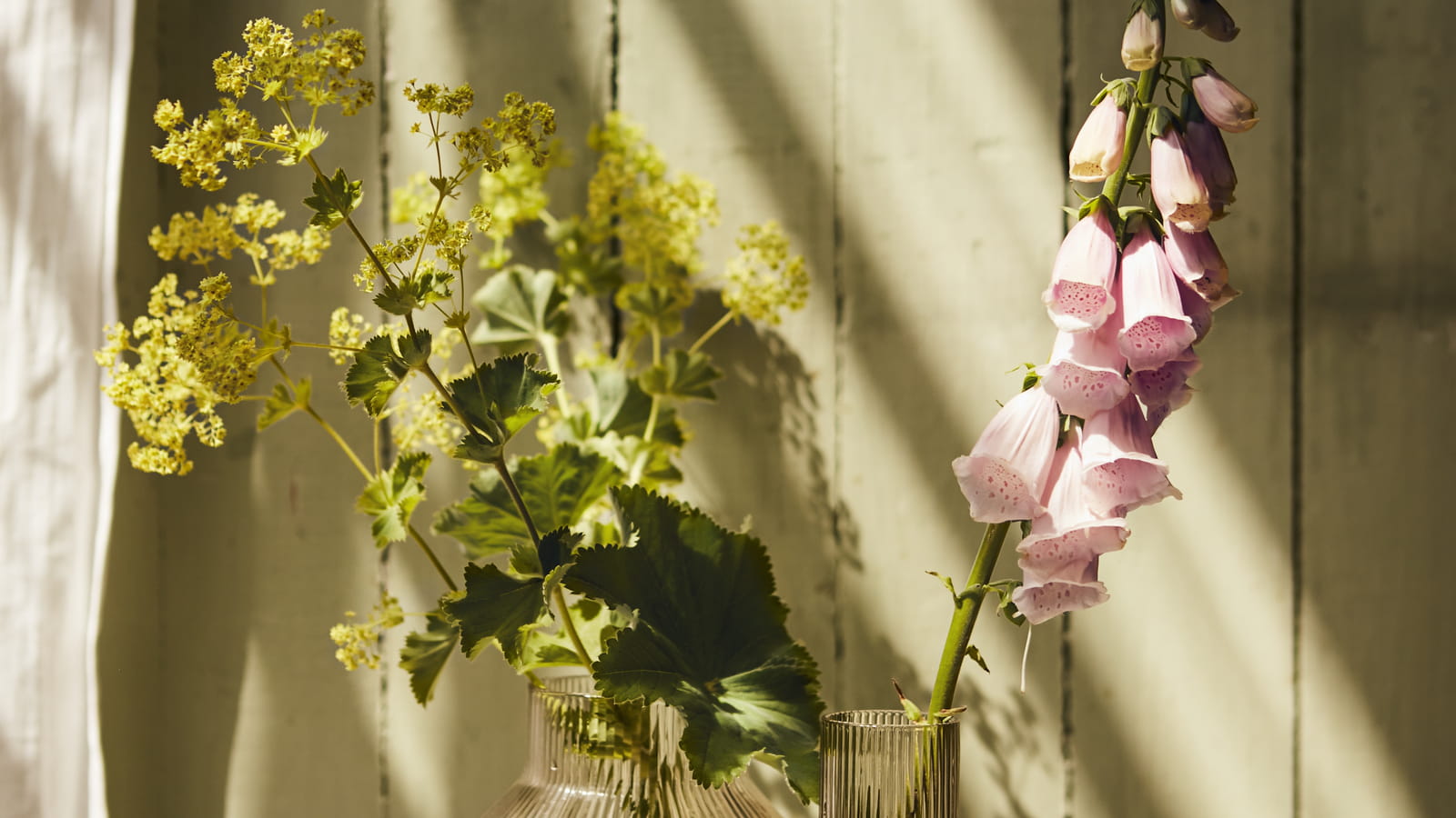 Vases