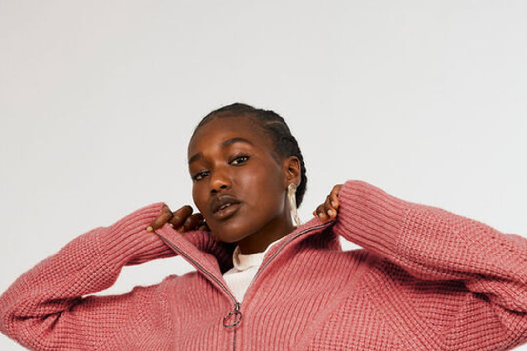 pull claudie pierlot