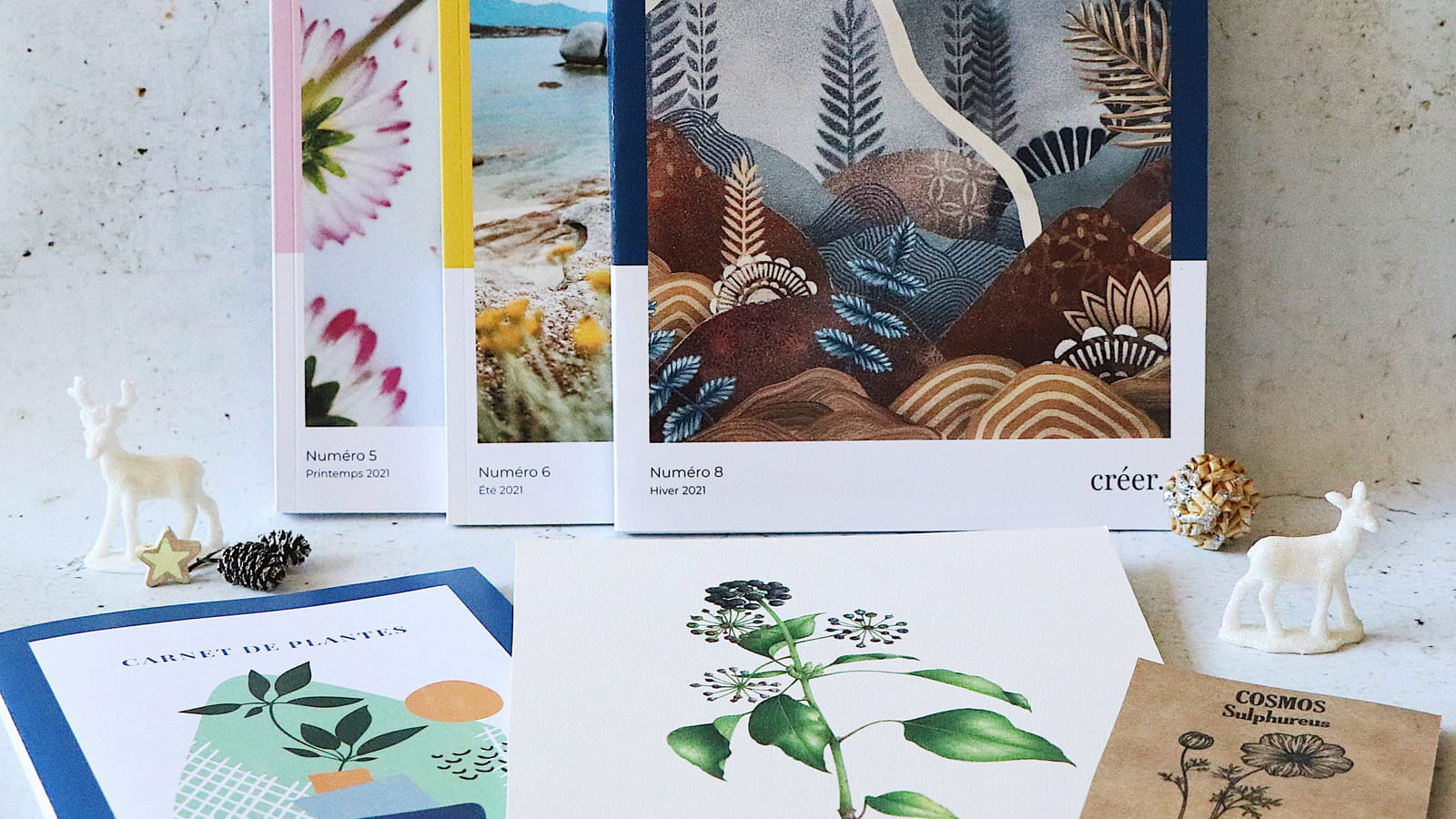 Plant Lover Veìr Magazine