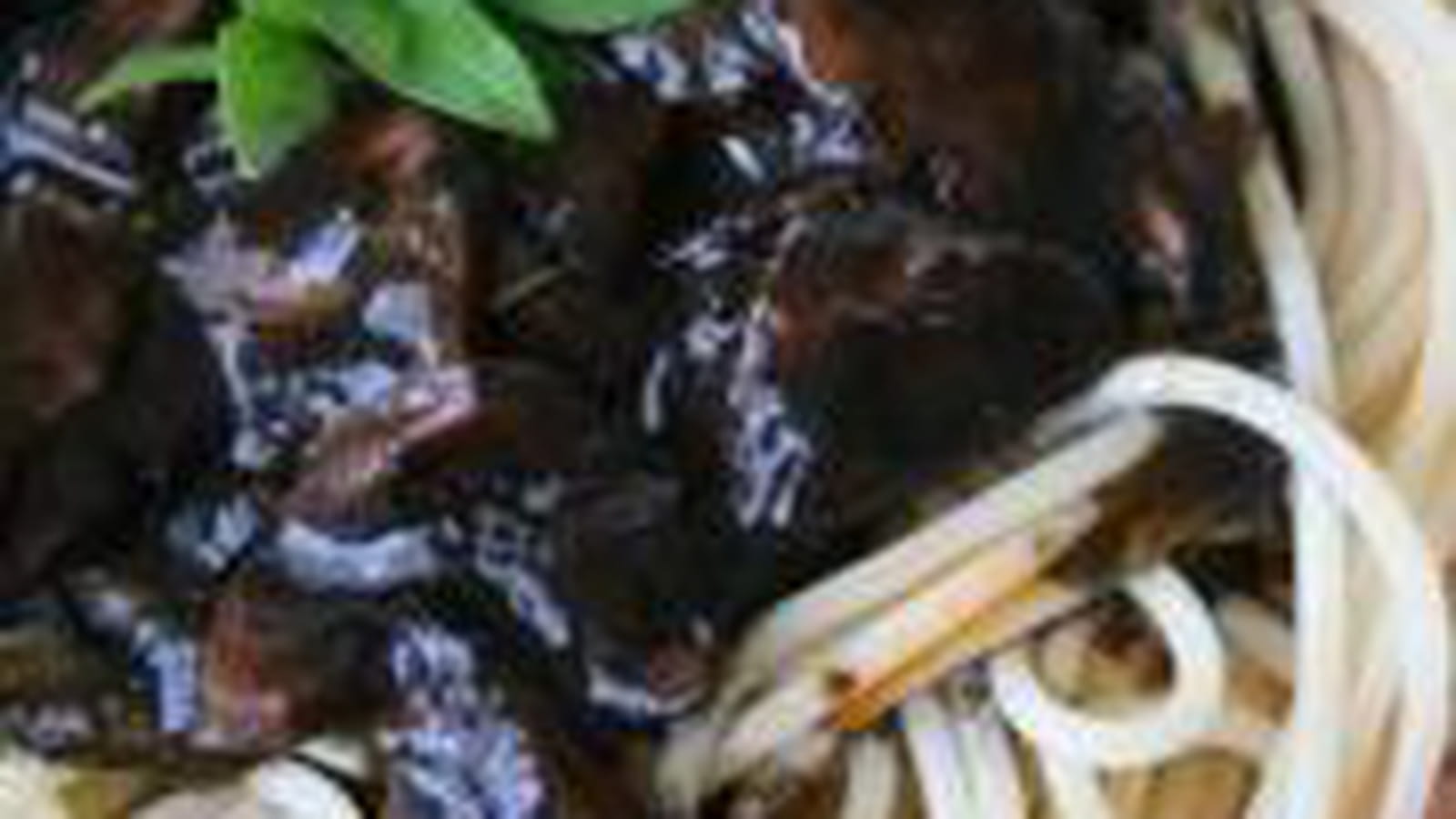 Calamars à l'encre