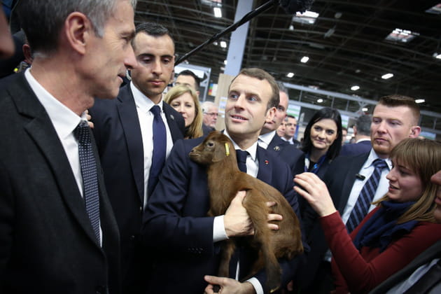 Moment douceur pour Emmanuel Macron au Salon de l'Agriculture