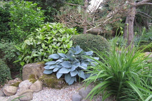 Alliance du minéral et du végétal