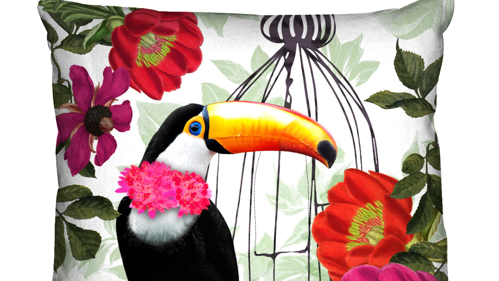 Toucan