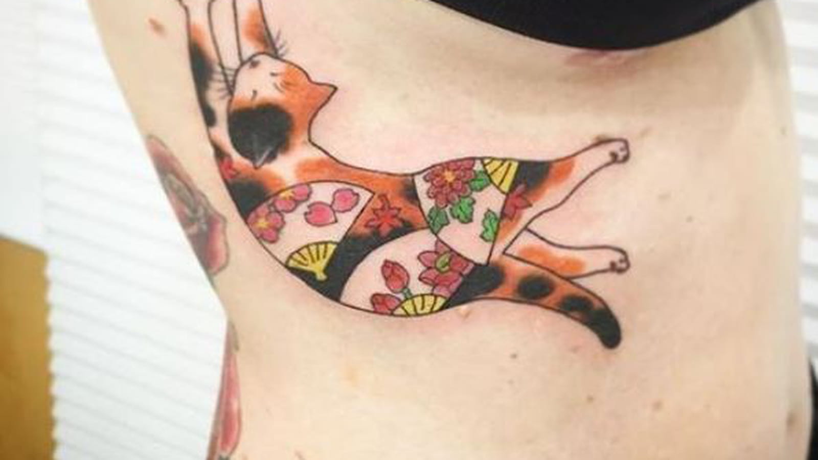 Chat coloré sur les côtes