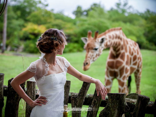 Une ambiance... bestiale ?