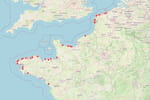 Trop de bactéries fécales : la carte 2026 des plages à éviter pour ne pas tomber malade
