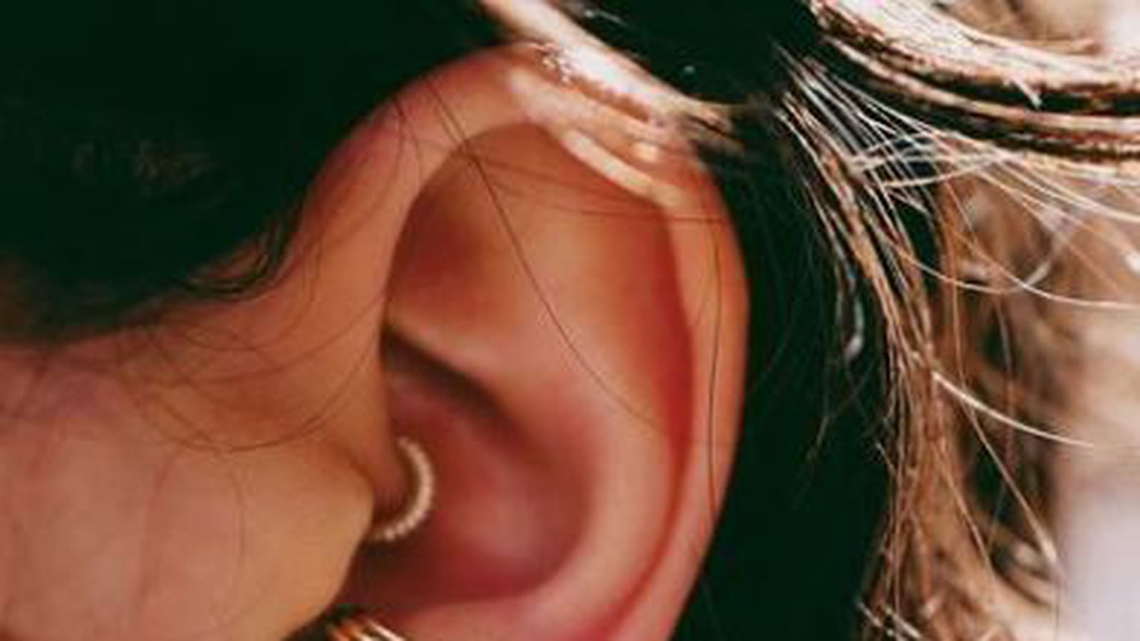 L'anneau épais sur l'anti-tragus