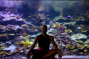 yogaquarium-yoga-aquarium-de-paris