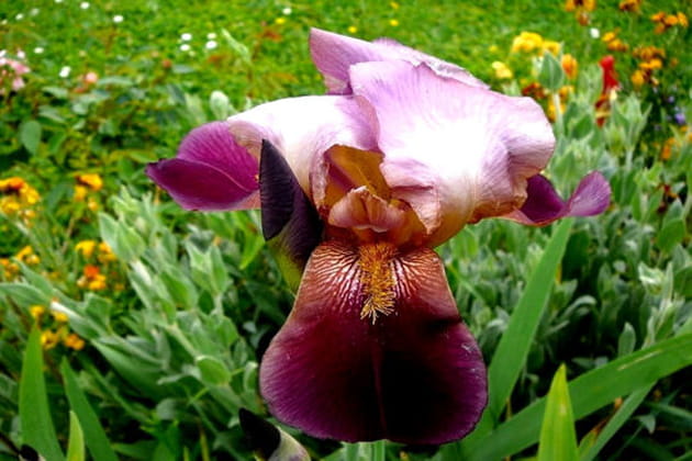 Un entretien enfantin