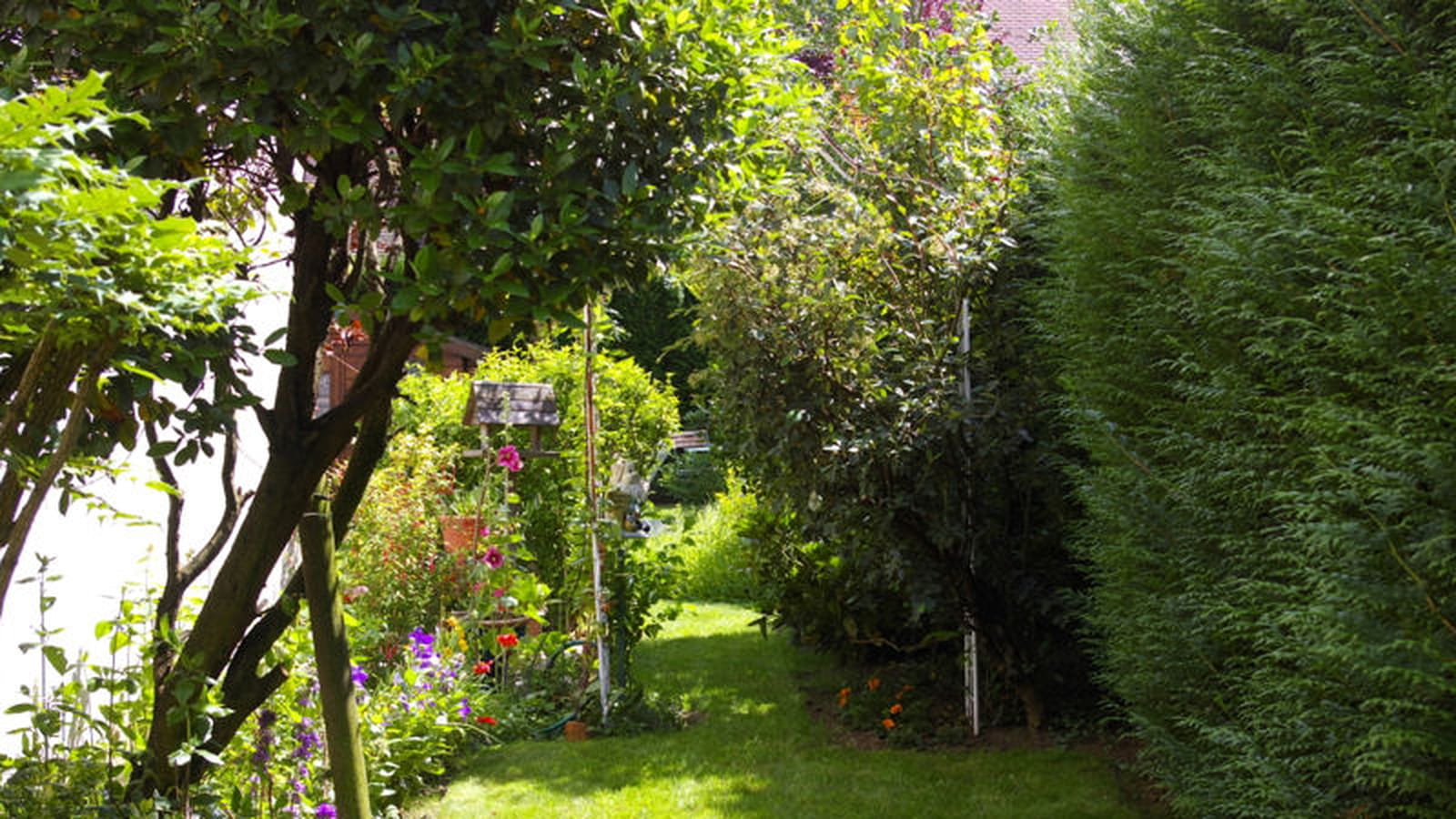 Entrée du jardin
