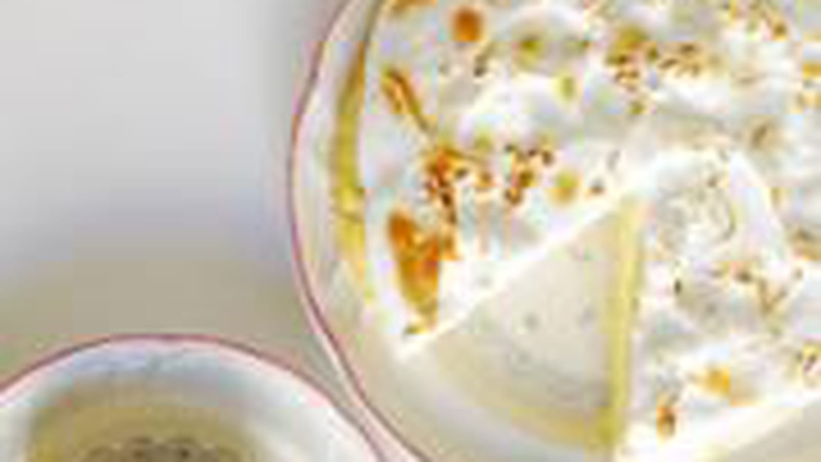 Façon tarte au citron meringuée