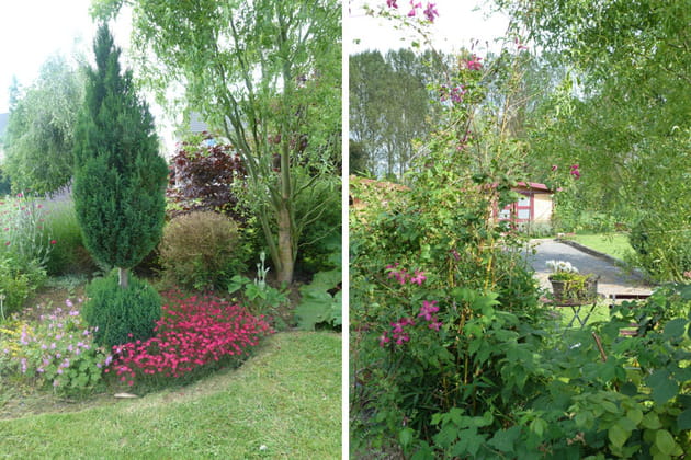 Résineux, grimpantes et Cie, une végétation variée