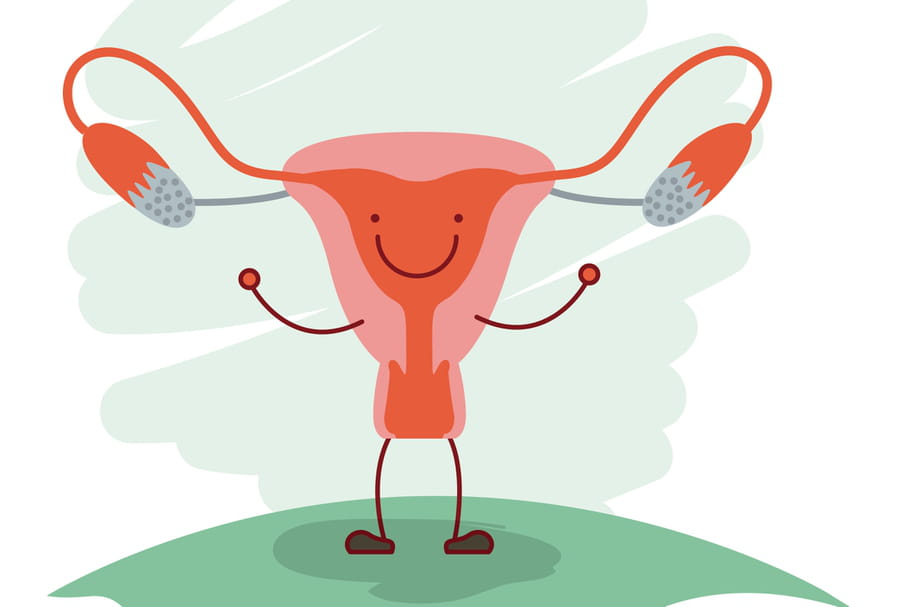 Lettre d'excuse (et d'amour) au clitoris