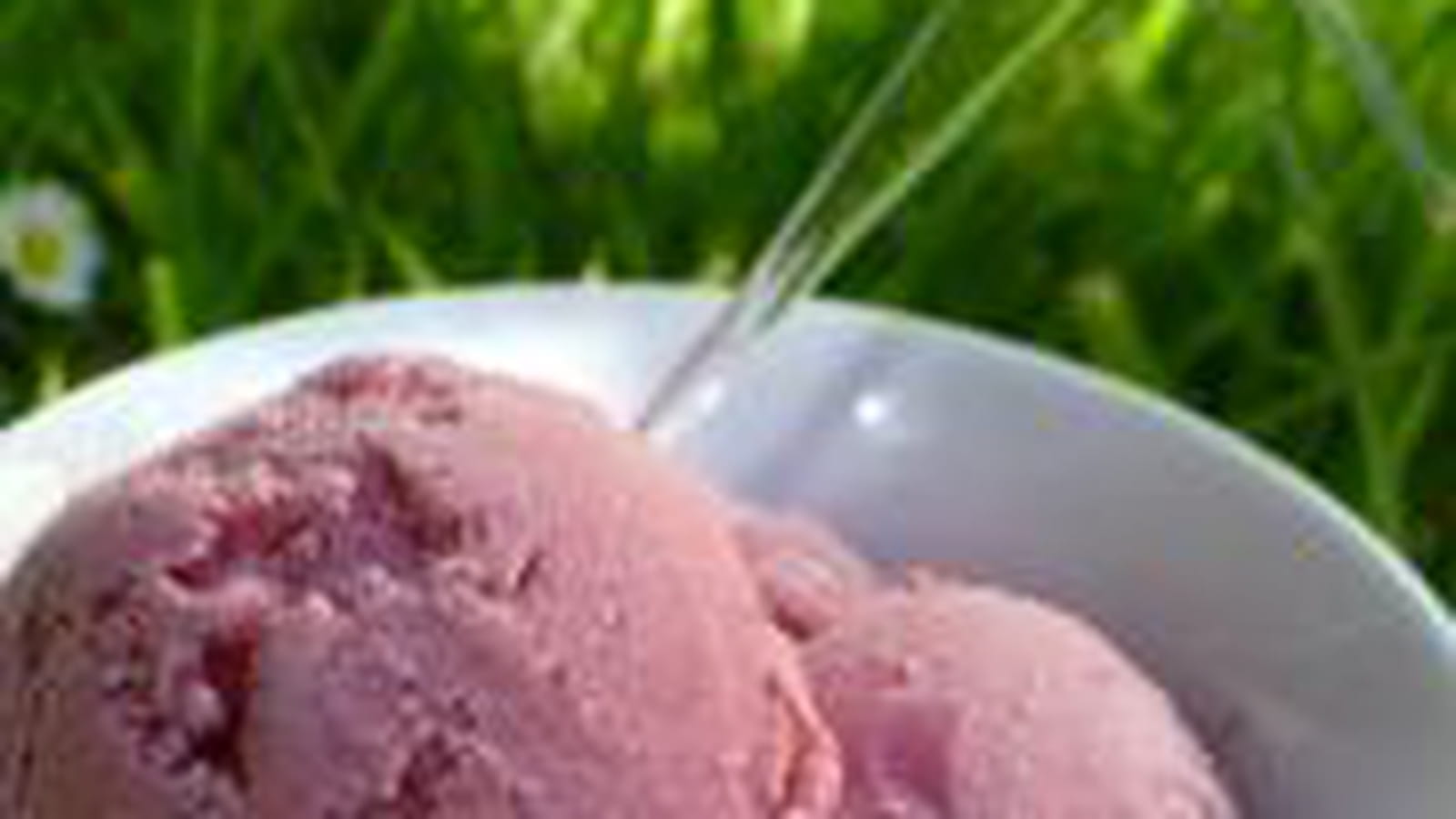 Glace au yaourt et aux fraises