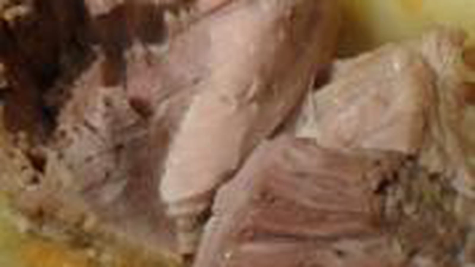 Sauté de porc aux légumes